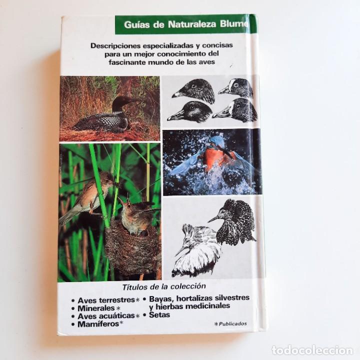 Libros de segunda mano: Gu&iacute;a Aves acu&aacute;ticas Blume - Foto 2