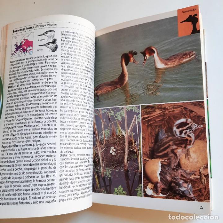 Libros de segunda mano: Gu&iacute;a Aves acu&aacute;ticas Blume - Foto 4