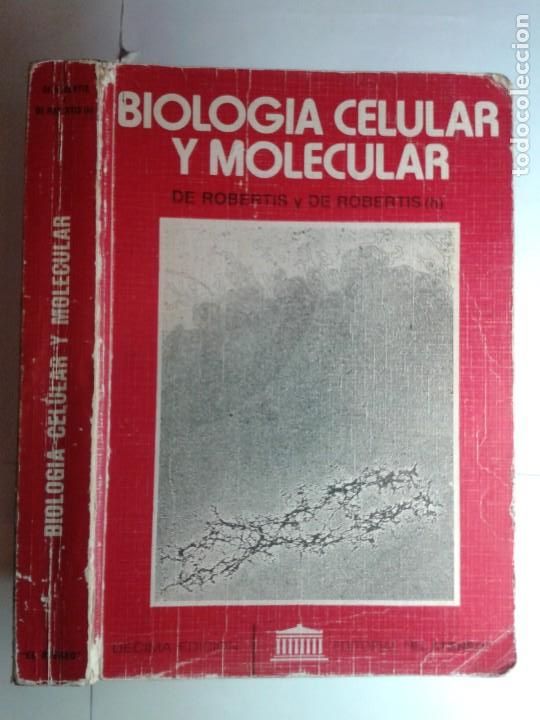 Libros de segunda mano: BIOLOGIA CELULAR Y MOLECULAR 1981 E. D. P. DE ROBERTIS / E. M. F. DE ROBERTIS 10&ordf; EDICI&Oacute;N EL ATENEO - Foto 1