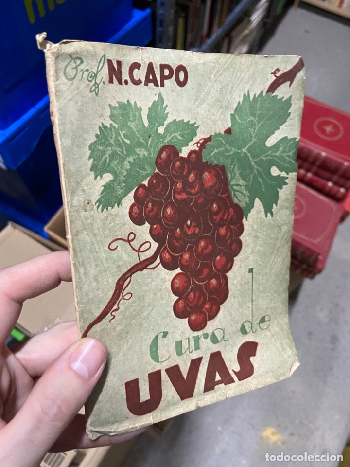 Libros de segunda mano: Blas37C - CURA DE UVAS - PROFESOR N. CAPO - INSTITUTO DE TROFOTERAPIA. - Foto 1