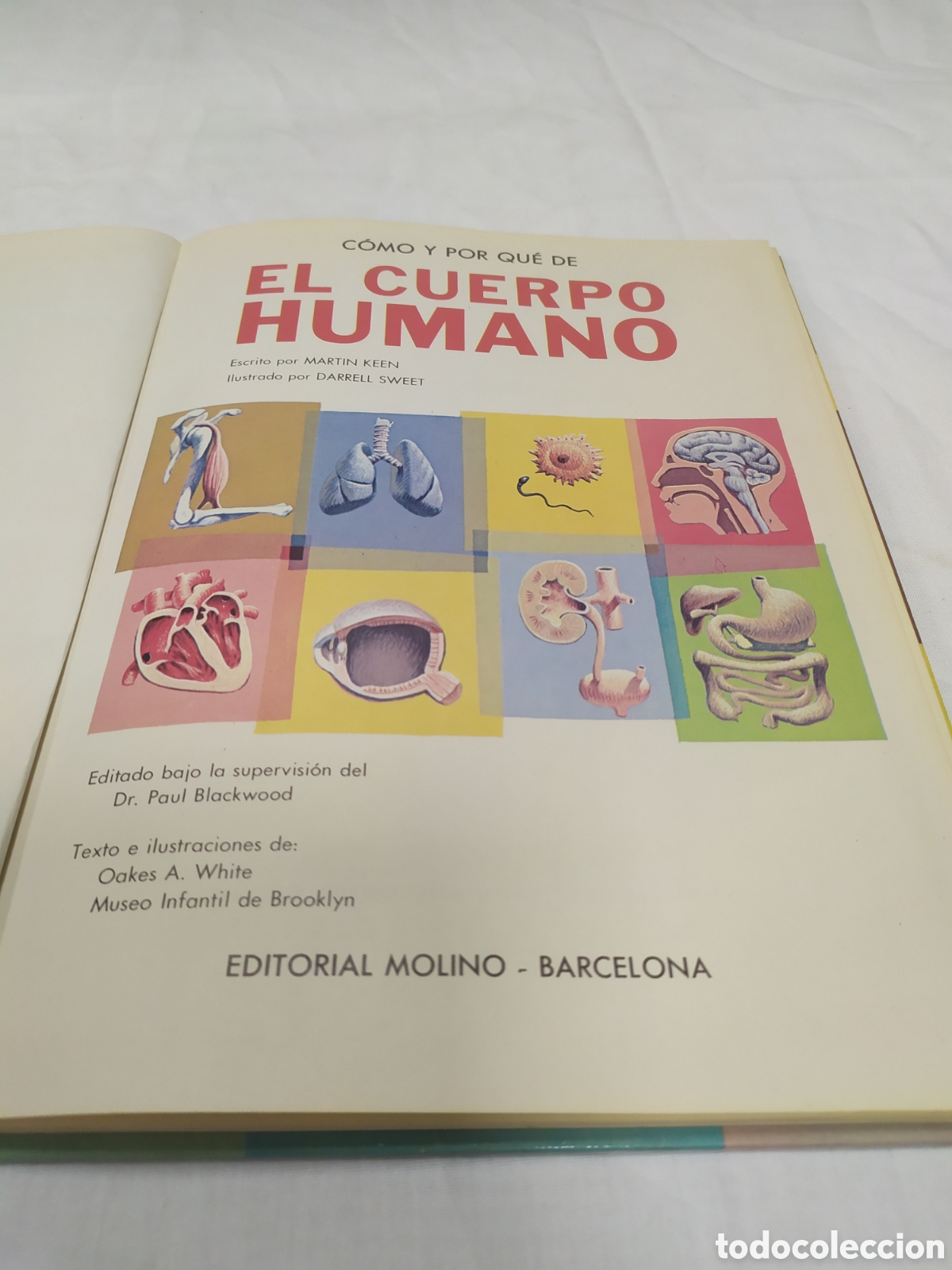 Libros de segunda mano: El cuerpo humano. Editorial Molino, 1968 - Foto 3