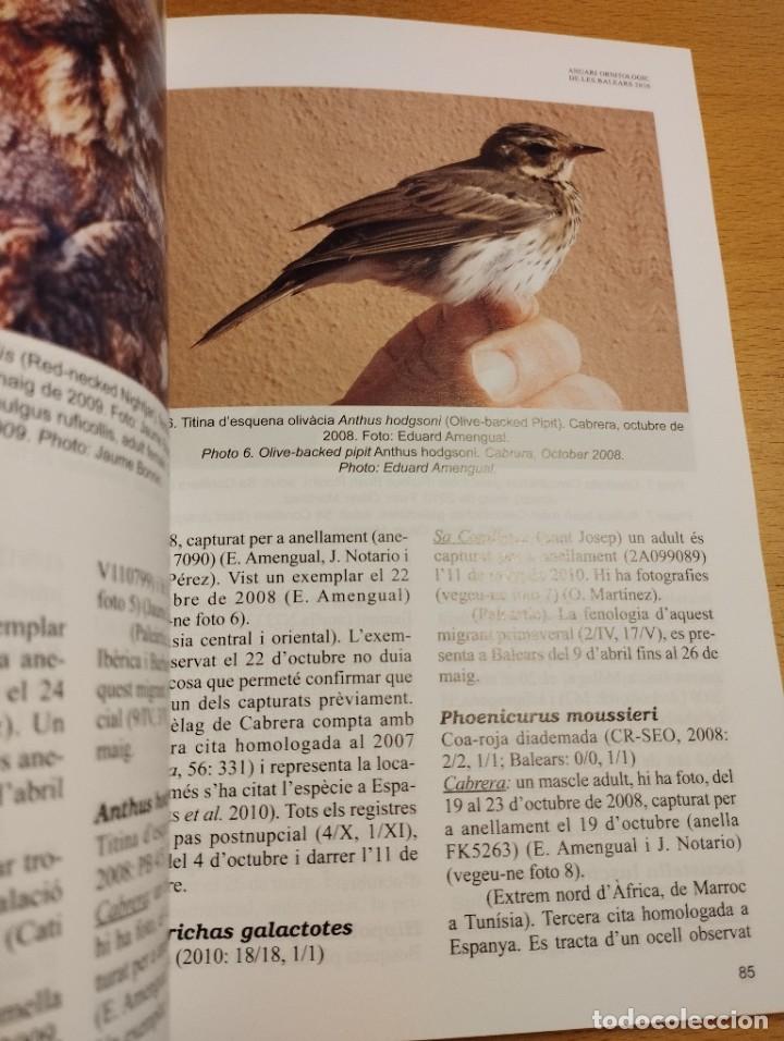Libros de segunda mano: ANUARI ORNITOL&Ograve;GIC DE LES BALEARS, ANY 2010. VOLUM 25 - Foto 3