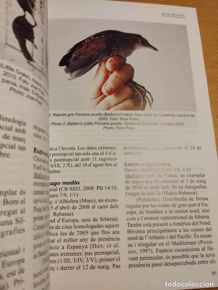 Libros de segunda mano: ANUARI ORNITOL&Ograve;GIC DE LES BALEARS, ANY 2010. VOLUM 25 - Foto 4