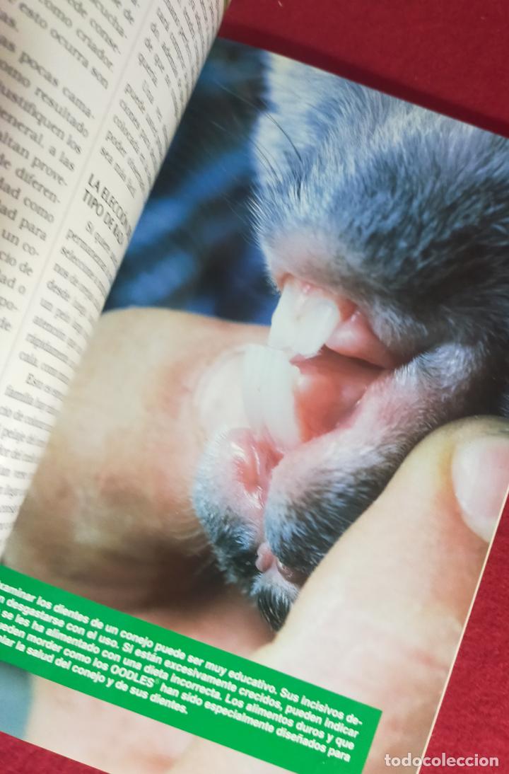 Libros de segunda mano: MANUAL PRACTICO DEL CONEJO ENANO - Foto 5