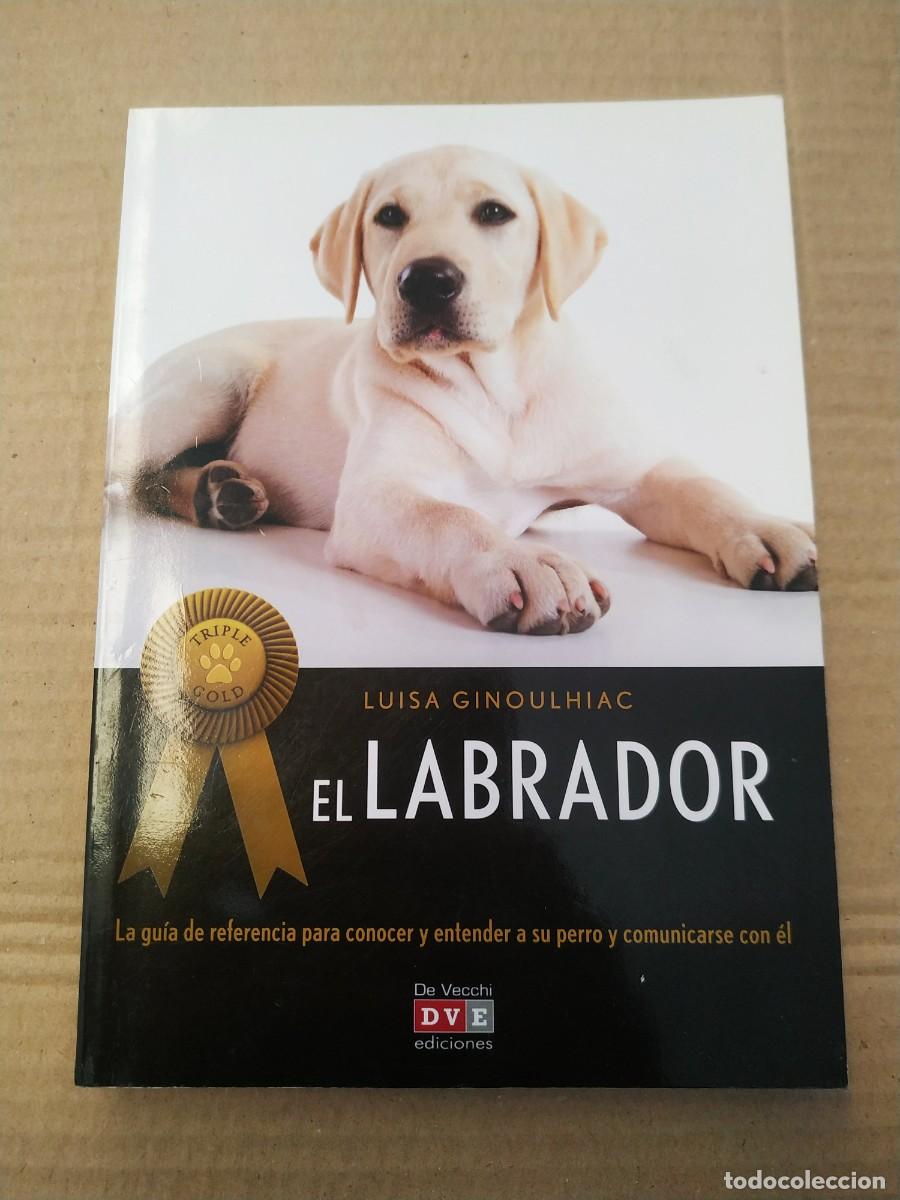 Libros de segunda mano: El Labrador - Luisa Ginoulhiac - Foto 1