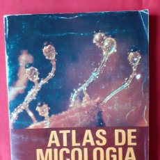 Libros de segunda mano: ATLAS DE MICOLOGÍA BÁSICA. M. ULLOA. R. HANLIN. EDIT PAX-MEXICO 1978 1 EDIC. Lote 364351196