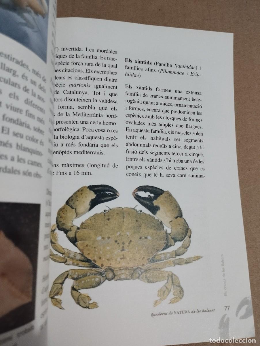 Libros de segunda mano: ELS CRANCS DE LES BALEARS (LLUC GARCIA) - Foto 5