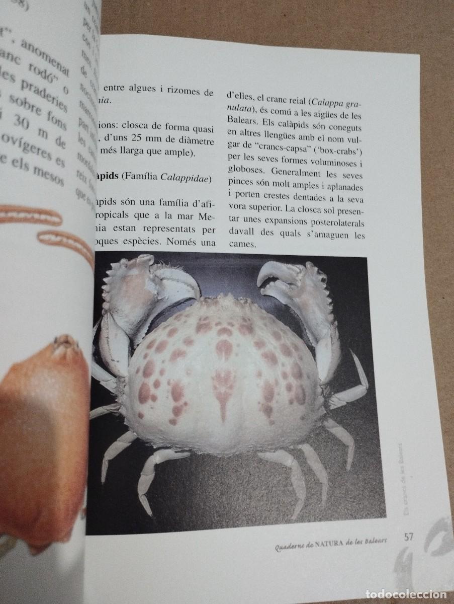 Libros de segunda mano: ELS CRANCS DE LES BALEARS (LLUC GARCIA) - Foto 7