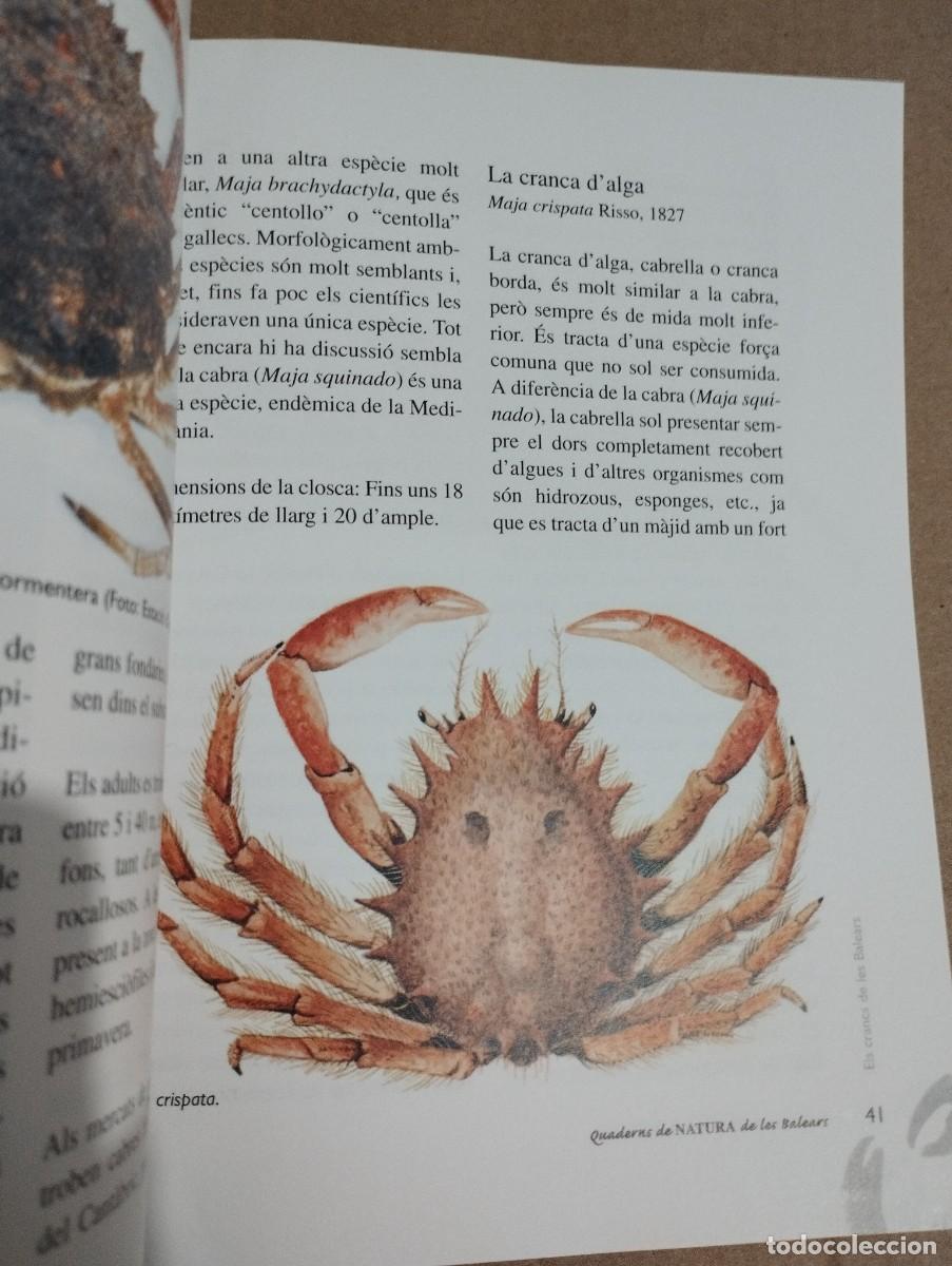 Libros de segunda mano: ELS CRANCS DE LES BALEARS (LLUC GARCIA) - Foto 8
