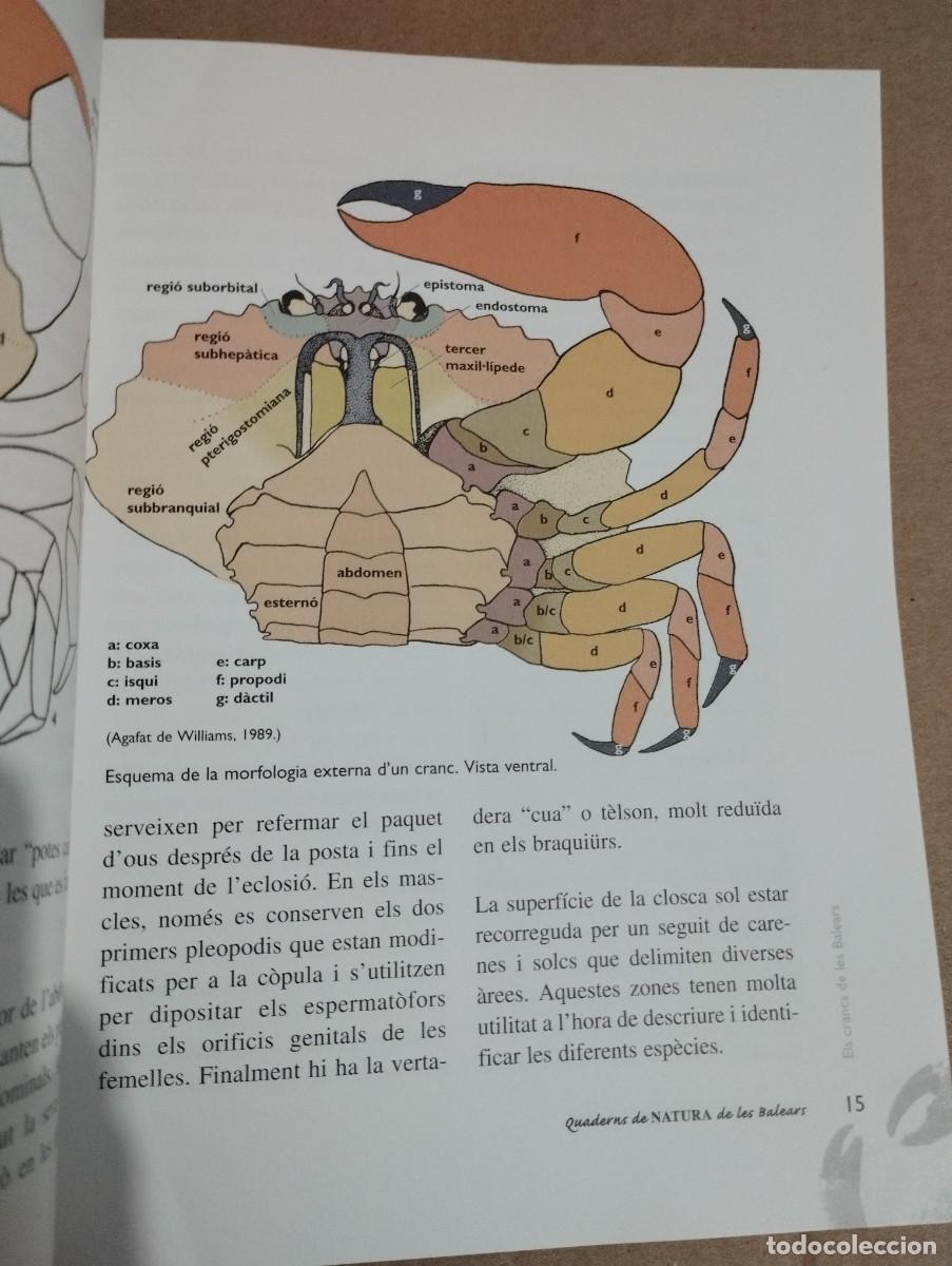 Libros de segunda mano: ELS CRANCS DE LES BALEARS (LLUC GARCIA) - Foto 10
