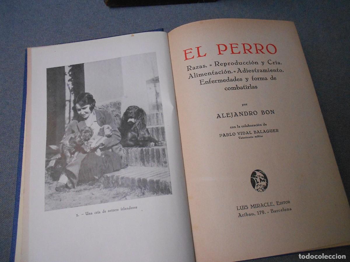 Libros de segunda mano: EL PERRO - Foto 2