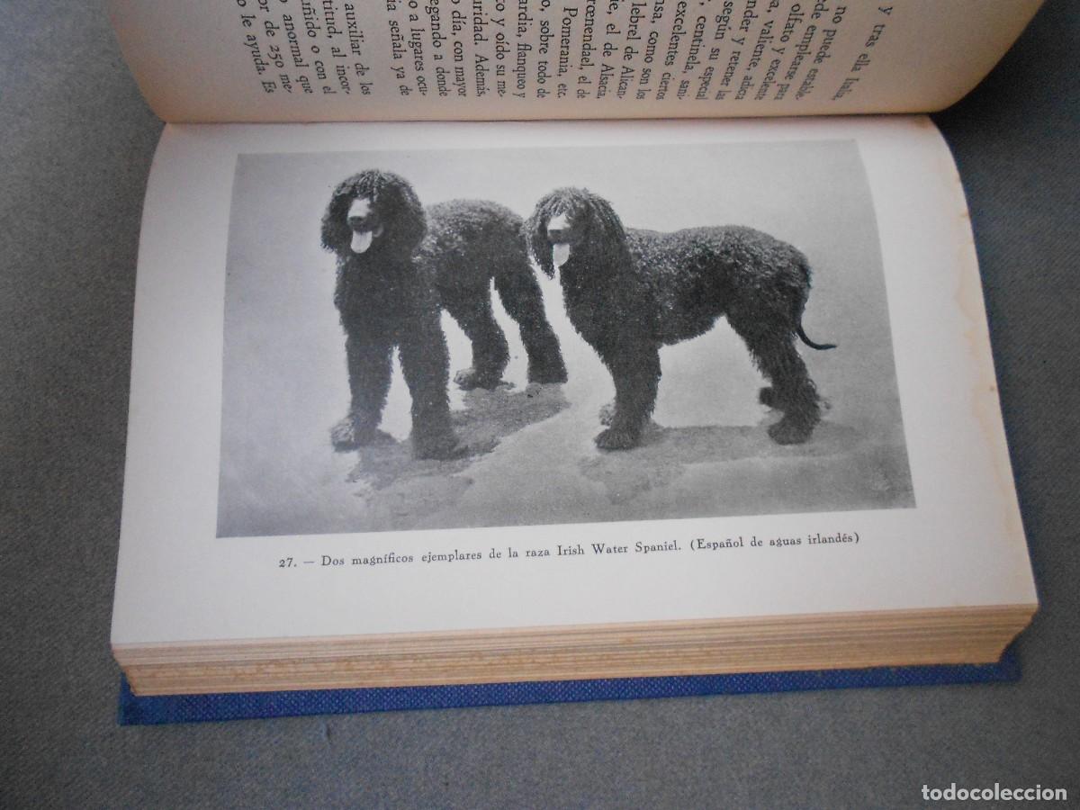 Libros de segunda mano: EL PERRO - Foto 3
