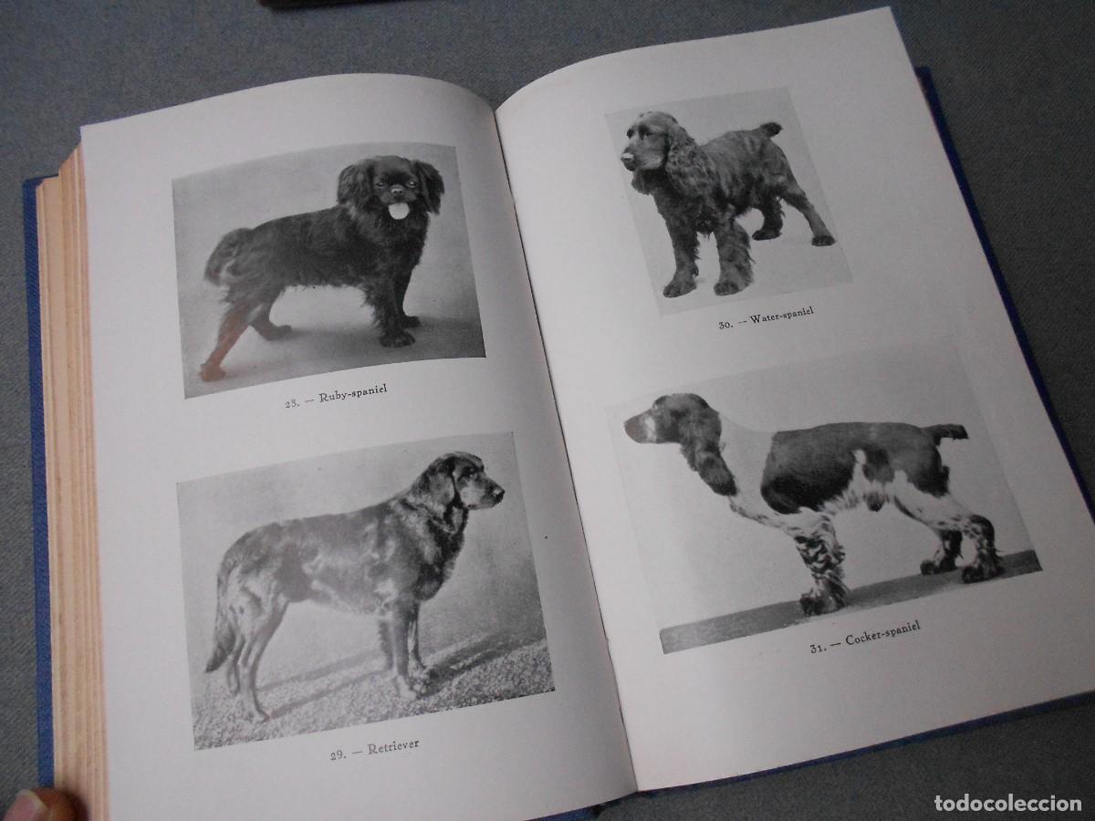 Libros de segunda mano: EL PERRO - Foto 4