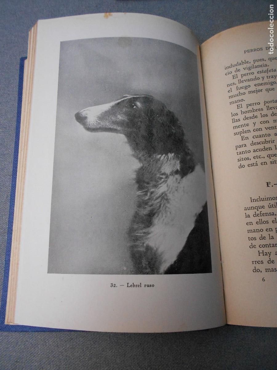 Libros de segunda mano: EL PERRO - Foto 5
