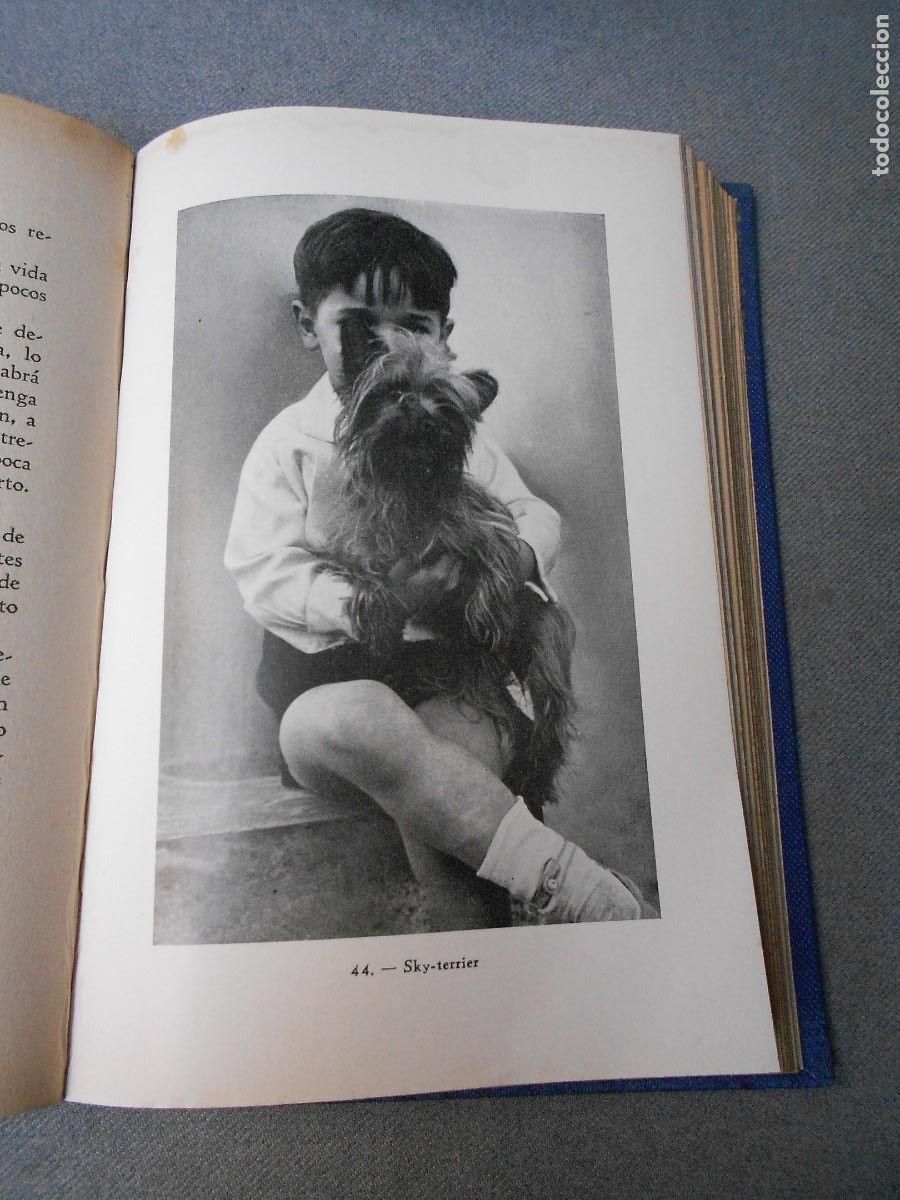 Libros de segunda mano: EL PERRO - Foto 6