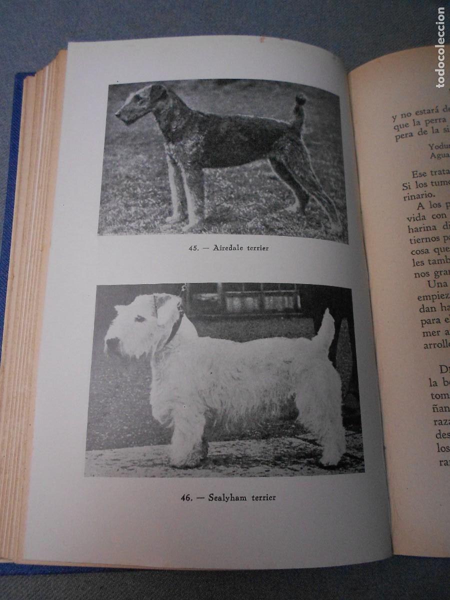 Libros de segunda mano: EL PERRO - Foto 7