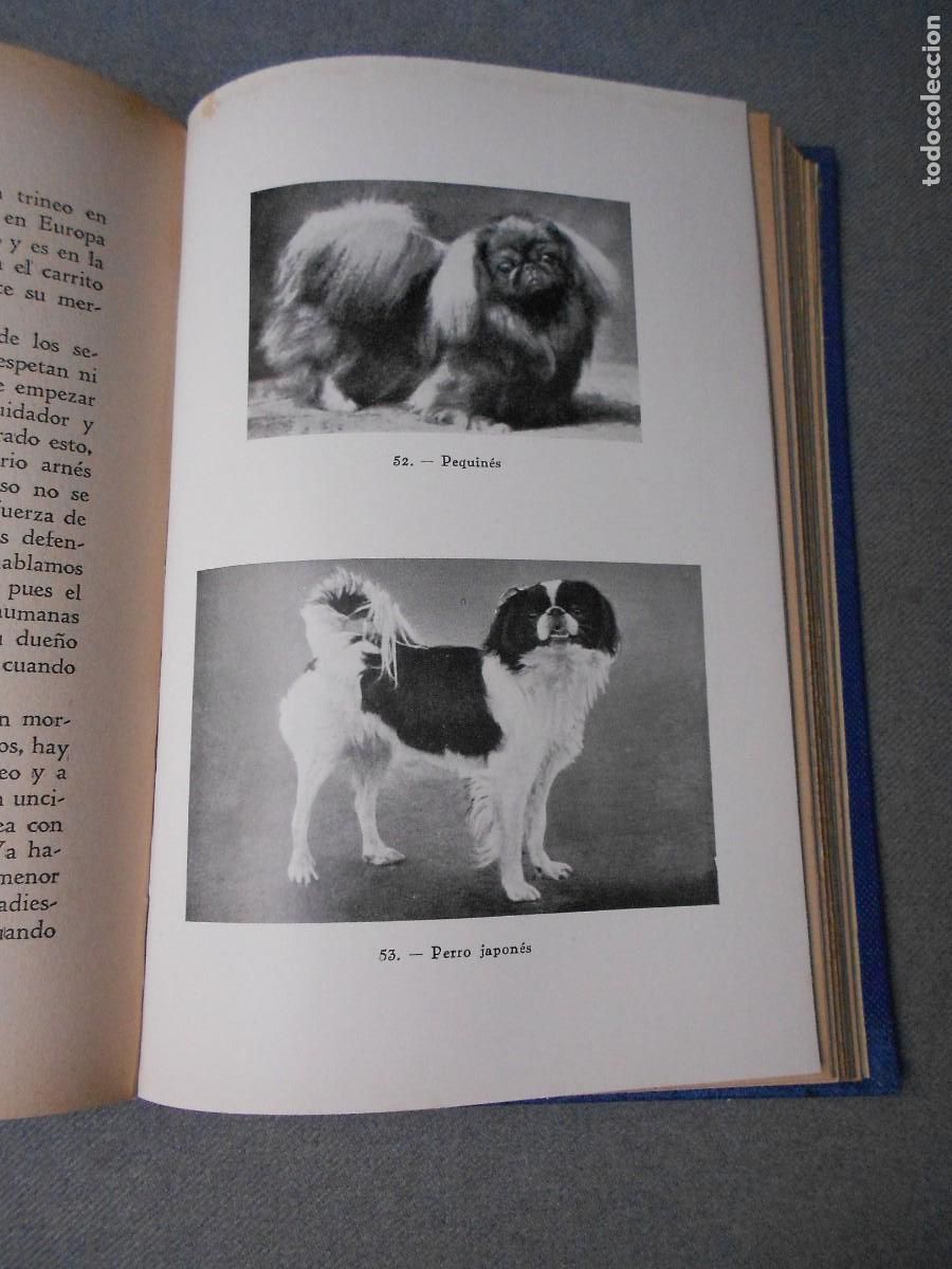 Libros de segunda mano: EL PERRO - Foto 8