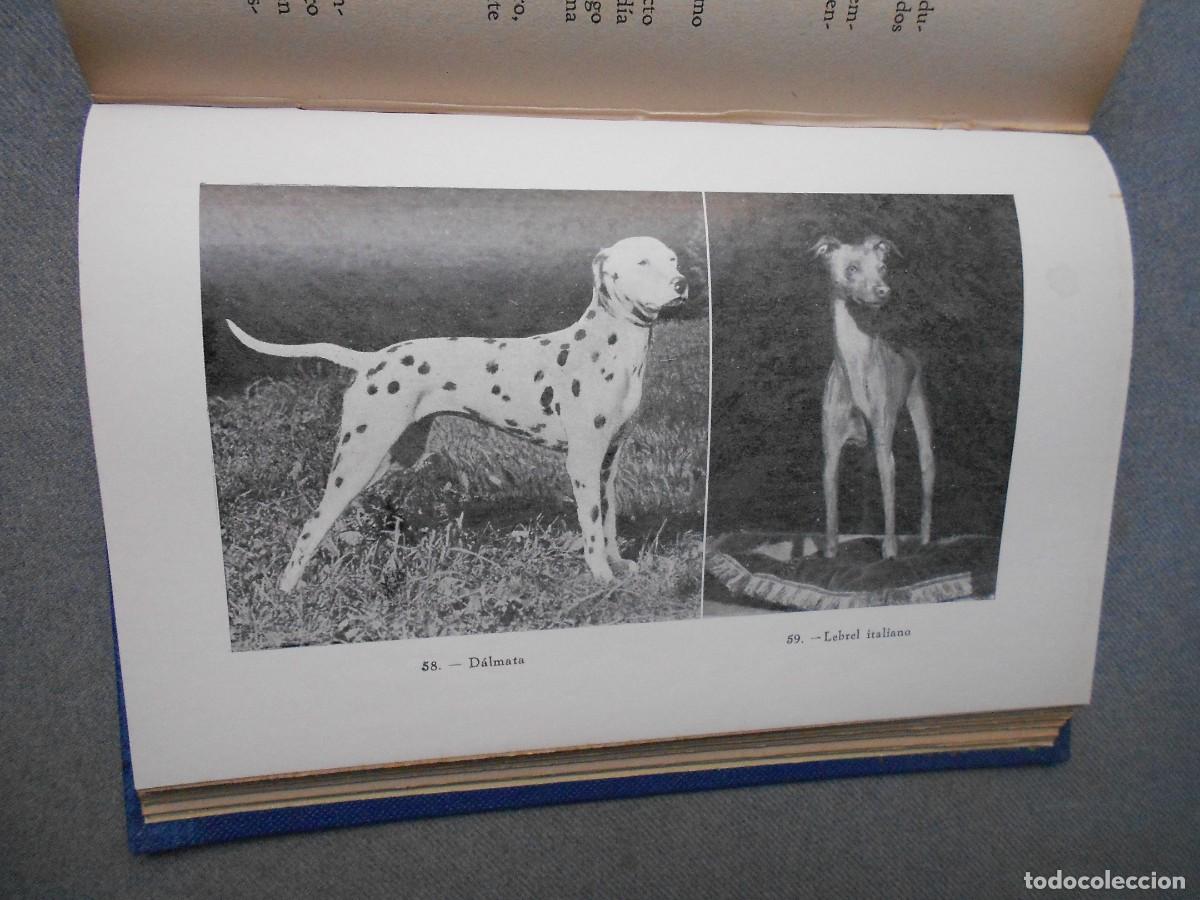 Libros de segunda mano: EL PERRO - Foto 9