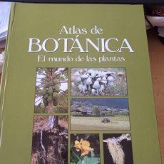 Libros de segunda mano: ATLAS DE BOTANICA - EL MUNDO DE LAS PLANTAS - CULTURAL DE EDICIONES 2003. Lote 364591206