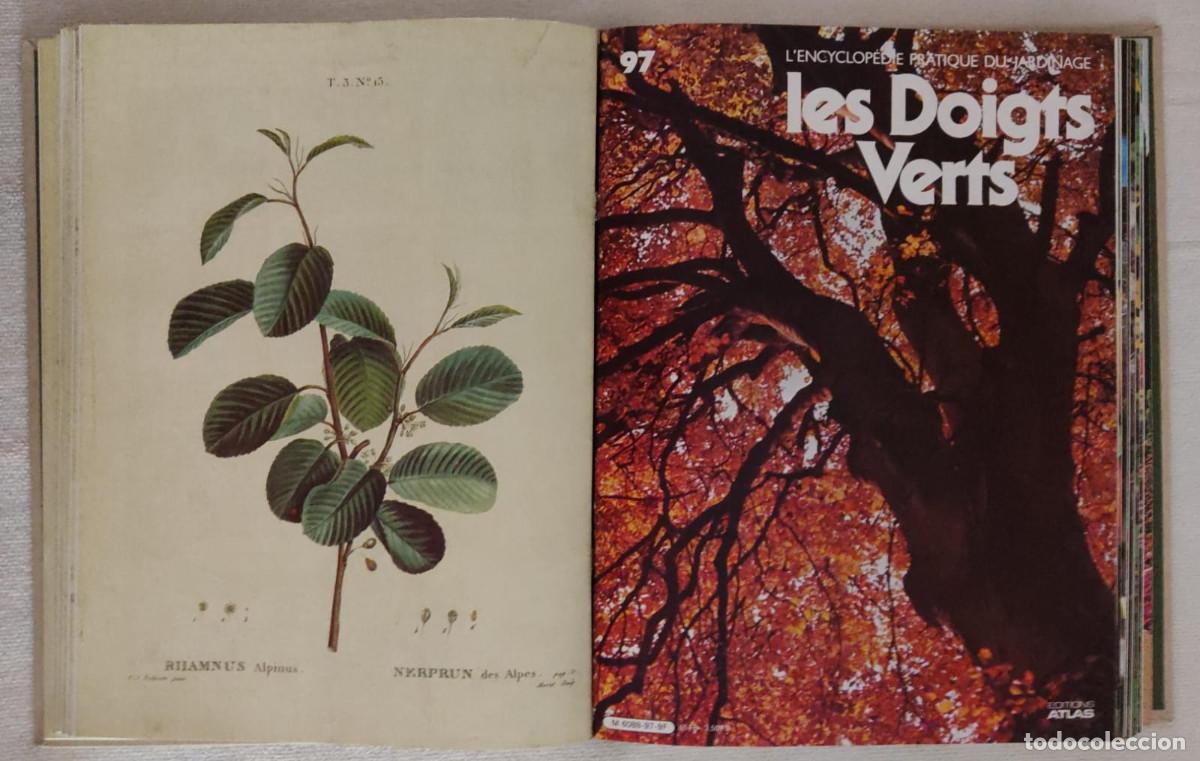 Libros de segunda mano: Lencyclop&eacute;die pratique du jardinage. - Foto 6