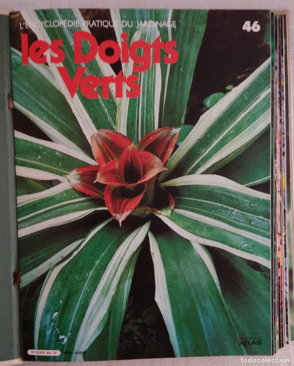 Libros de segunda mano: Lencyclop&eacute;die pratique du jardinage. - Foto 4