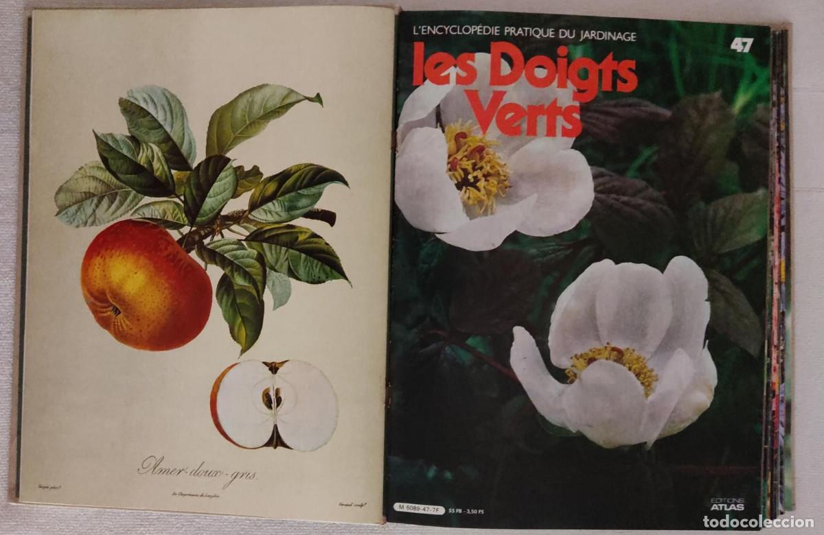 Libros de segunda mano: Lencyclop&eacute;die pratique du jardinage. - Foto 6