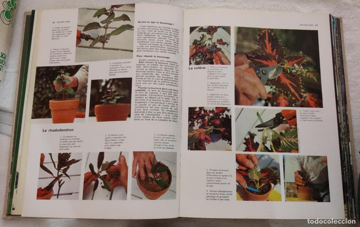 Libros de segunda mano: Lencyclop&eacute;die pratique du jardinage. - Foto 6