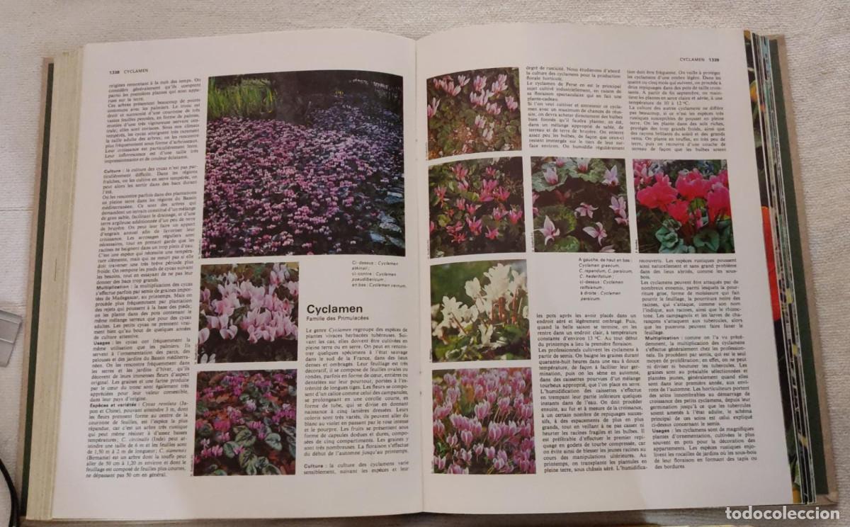 Libros de segunda mano: Lencyclop&eacute;die pratique du jardinage. - Foto 6