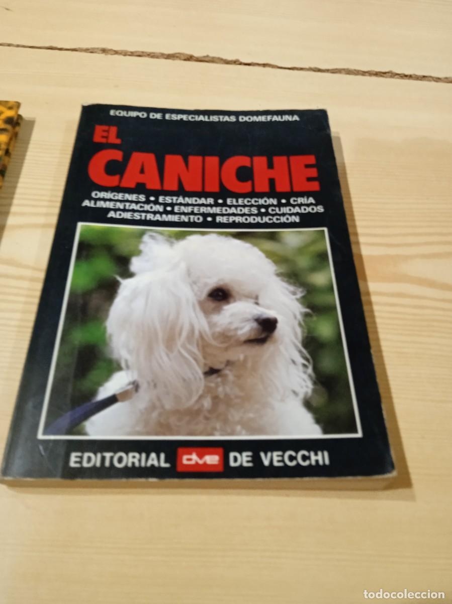 Libros de segunda mano: M-32 LIBRO EL CANICHE EQUIPO DE ESPECIALISTAS DOMEFAUNA DE VECCHI - Foto 1