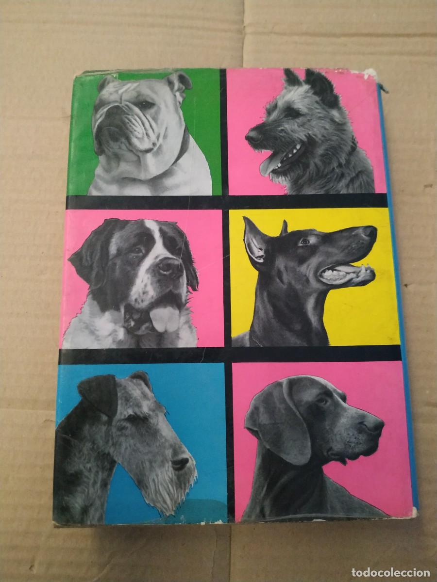 Libros de segunda mano: Enciclopedia Canina - Villenave - Foto 2