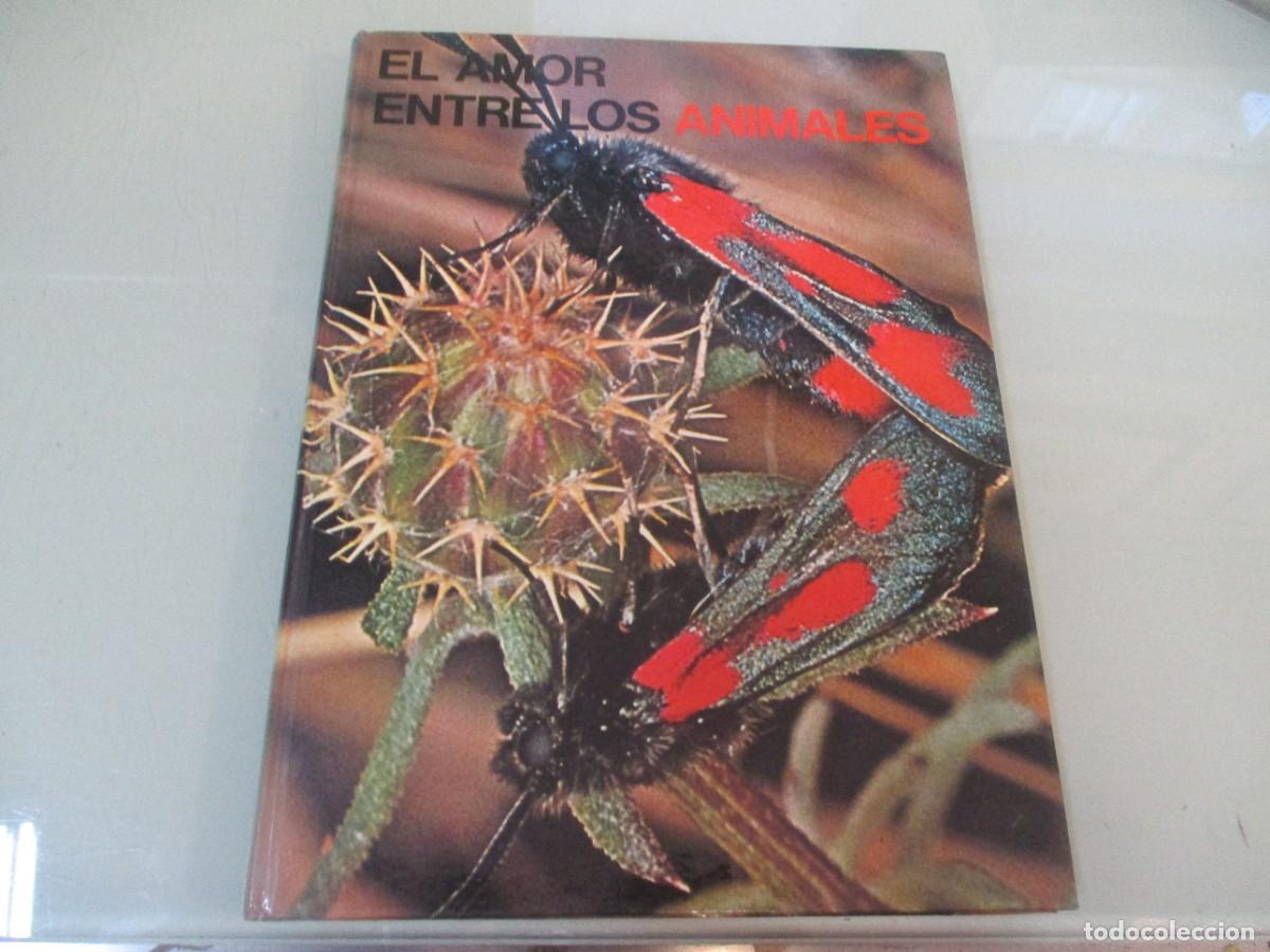 Libros de segunda mano: BERNARD GAUDIN El amor entre los animales W14817 - Foto 1