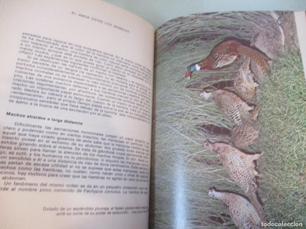 Libros de segunda mano: BERNARD GAUDIN El amor entre los animales W14817 - Foto 2