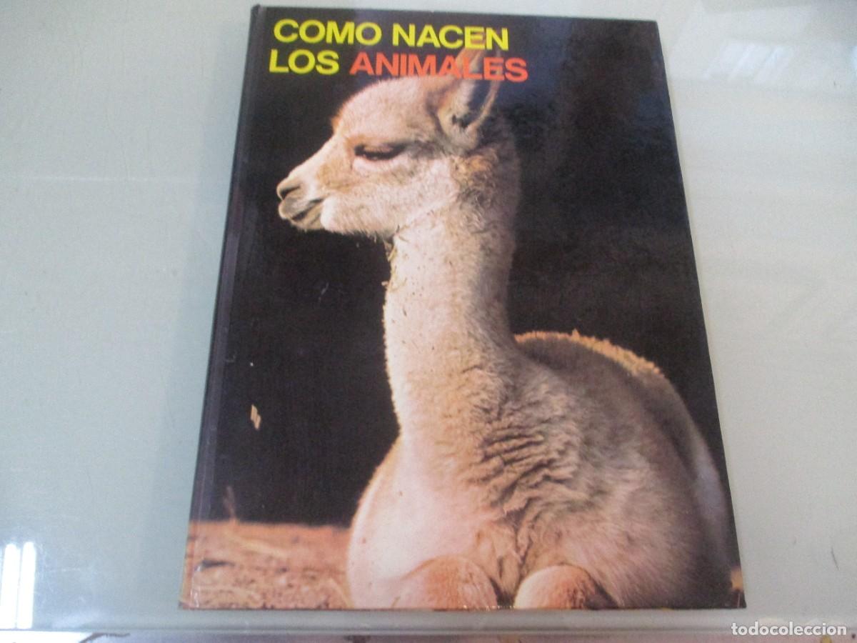 Libros de segunda mano: BERNARD GAUDIN Como nacen los animales W14818 - Foto 1