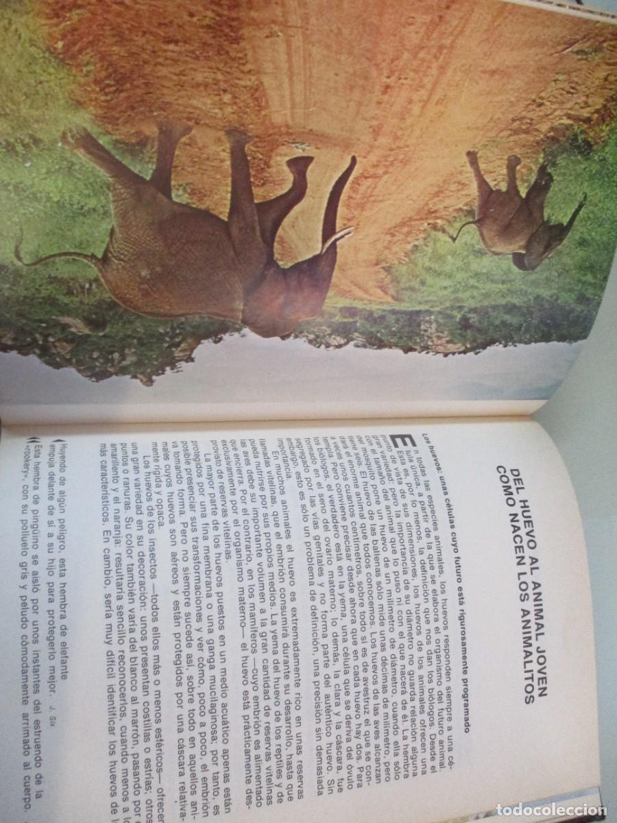 Libros de segunda mano: BERNARD GAUDIN Como nacen los animales W14818 - Foto 3