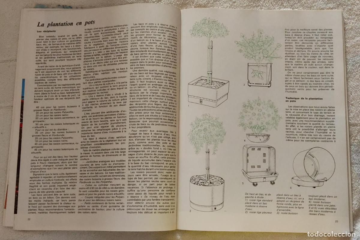Libros de segunda mano: Les Roses. - Foto 4