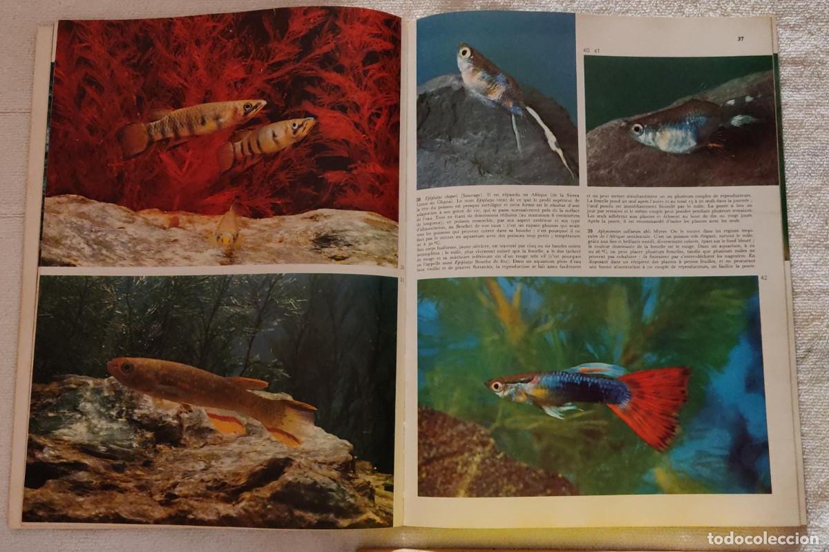 Libros de segunda mano: Poissons daquarium. - Foto 4