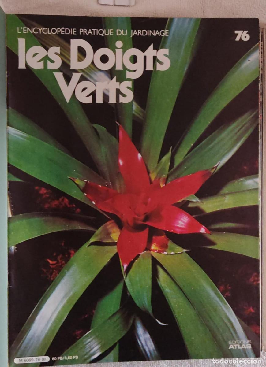 Libros de segunda mano: LENCYCLOPEDIE PRATIQUE DU JARDINAGE. - Foto 4