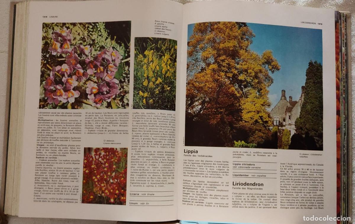 Libros de segunda mano: LENCYCLOPEDIE PRATIQUE DU JARDINAGE. - Foto 5