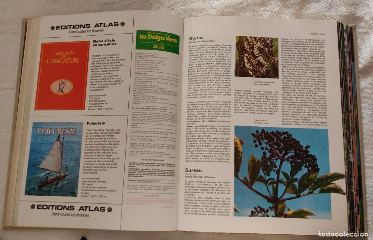 Libros de segunda mano: LENCYCLOPEDIE PRATIQUE DU JARDINAGE. - Foto 6