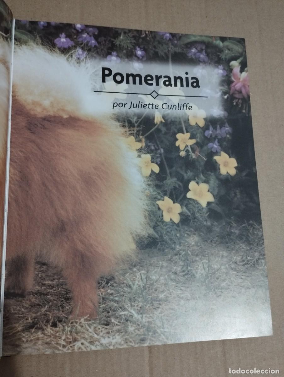 Libros de segunda mano: POMERANIA (JULIETTE CUNLIFFE) - Foto 2