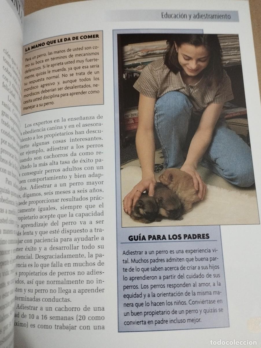 Libros de segunda mano: POMERANIA (JULIETTE CUNLIFFE) - Foto 7