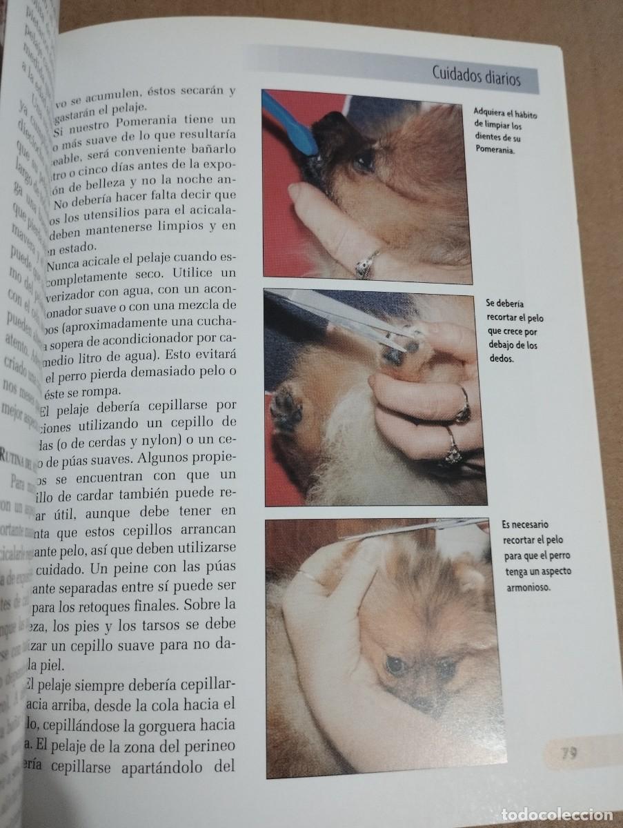 Libros de segunda mano: POMERANIA (JULIETTE CUNLIFFE) - Foto 8