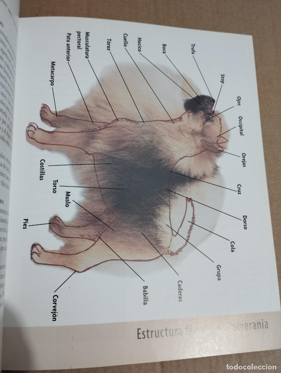 Libros de segunda mano: POMERANIA (JULIETTE CUNLIFFE) - Foto 11