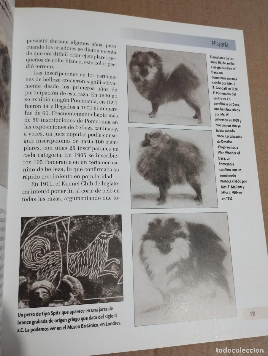 Libros de segunda mano: POMERANIA (JULIETTE CUNLIFFE) - Foto 12