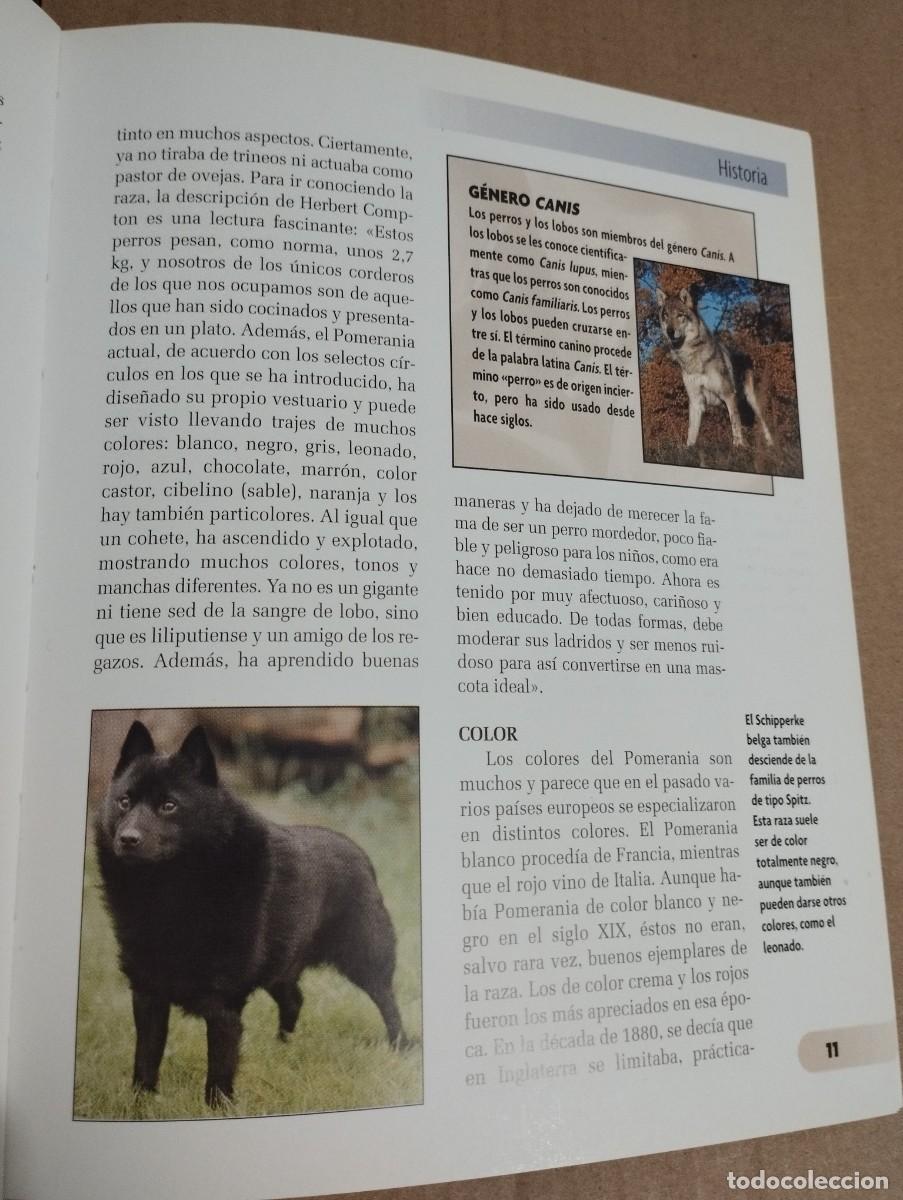 Libros de segunda mano: POMERANIA (JULIETTE CUNLIFFE) - Foto 14