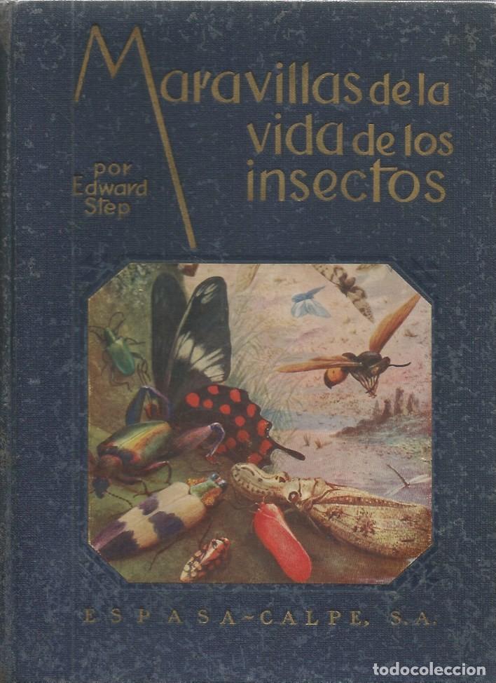 Libros de segunda mano: MARAVILLAS DE LA VIDA DE LOS INSECTOS - Edward Step - 1940 - Foto 1