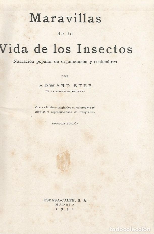 Libros de segunda mano: MARAVILLAS DE LA VIDA DE LOS INSECTOS - Edward Step - 1940 - Foto 3
