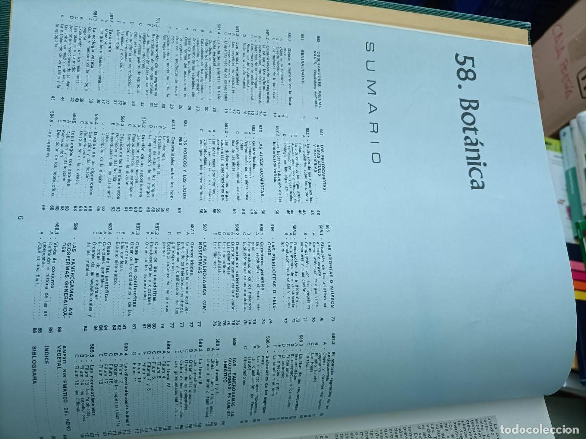 Libros de segunda mano: Bot&aacute;nica. Argos Enciclopedia Tem&aacute;tica - Foto 4