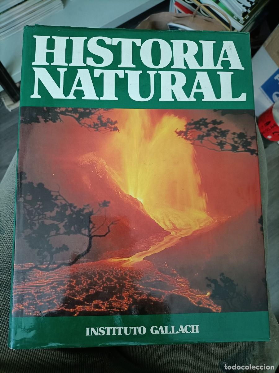 Libros de segunda mano: Historia Natural Vol. 6. - Instituto Gallach - Foto 1