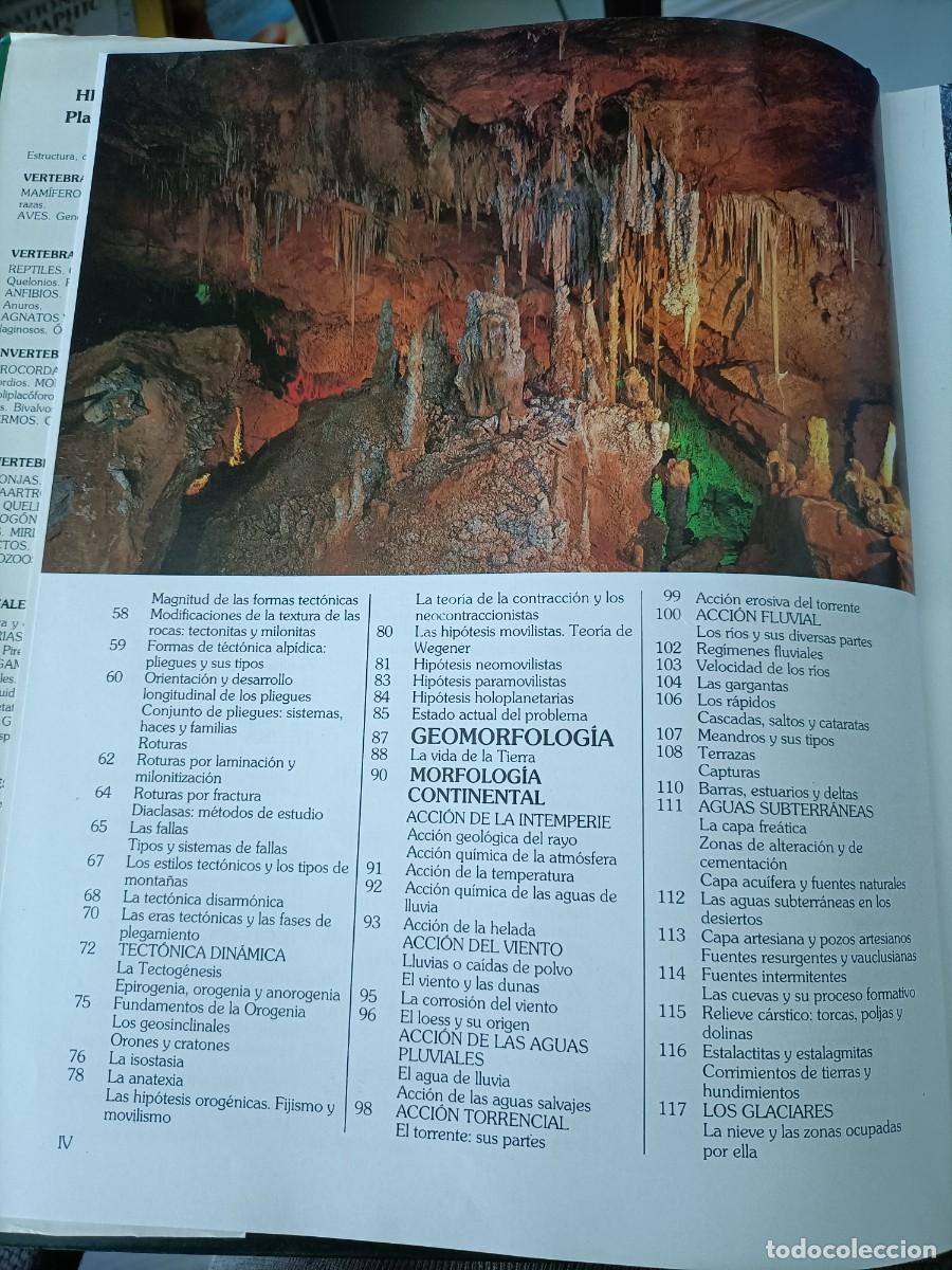 Libros de segunda mano: Historia Natural Vol. 6. - Instituto Gallach - Foto 6